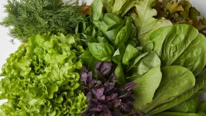 Adicione alface na sua dieta diária e veja seu corpo se transformar
