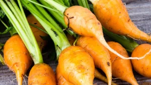 Passo a passo para plantar mini cenouras em casa com pouco espaço