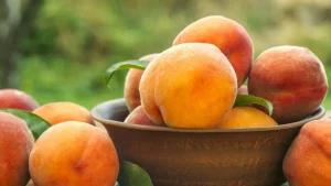 Conheça as variedades de pêssego mais plantadas no Brasil