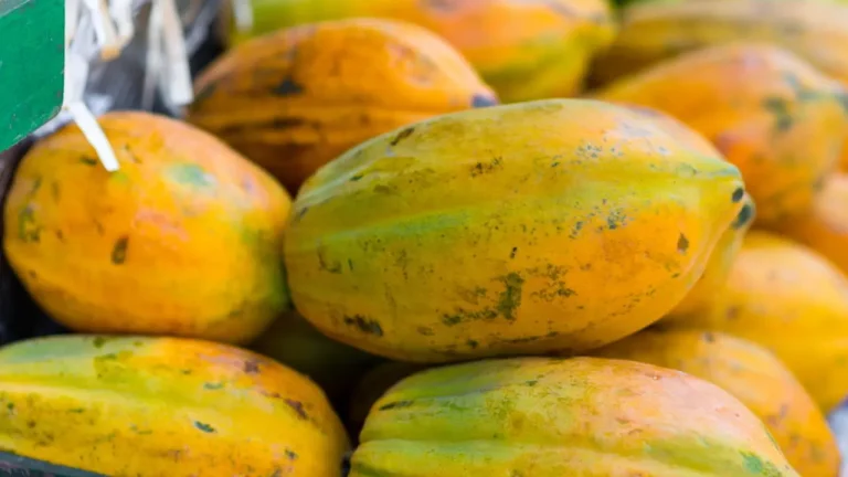 essas frutas combatem o envelhecimento da pele e podem ser plantadas em casa 5a113e5e