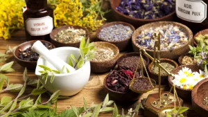 Passo a passo para cultivar ervas que melhoram o foco e a concentração