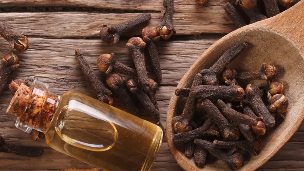 Saiba como o cravo-da-índia pode purificar sua energia e atrair prosperidade em 7 dias saiba como o cravo da ndia pode purificar sua energia e atrair prosperidade em 7 dias 5aa96df5