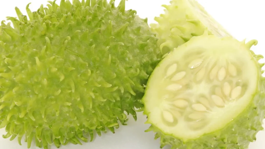 Você sabe o que é maxixe? Conheça todos os benefícios desse vegetal esquecido voc sabe o que maxixe conhe a todos os benef cios desse vegetal esquecido 7825ae12