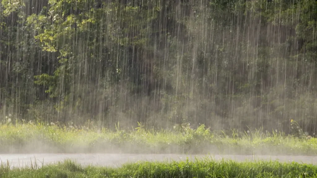 a chuva tem cheiro o que de fato esse odor que sentimos quando a chuva cai 0af63a2e