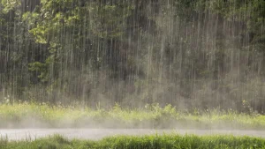 A chuva tem cheiro? O que de fato é esse odor que sentimos quando a chuva cai?