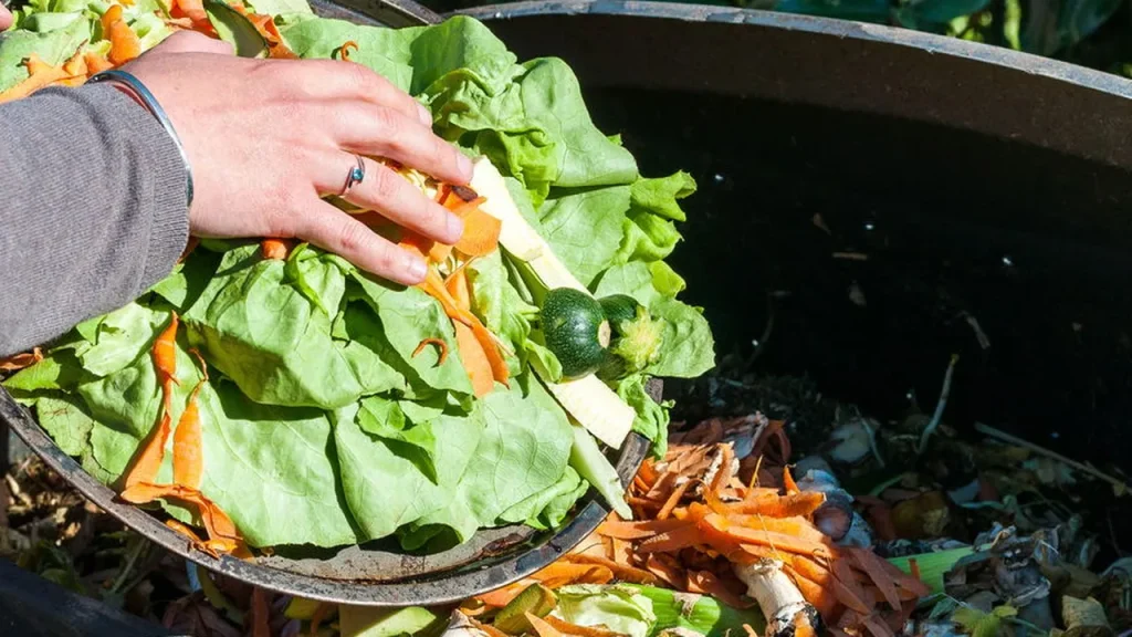 aprenda como transformar restos de comida em adubo rico e natural 84ace2bc