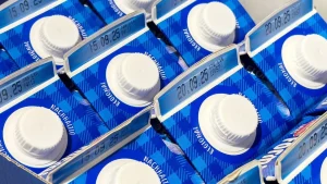 Artesanato com caixas de leite é a solução criativa mais sustentável