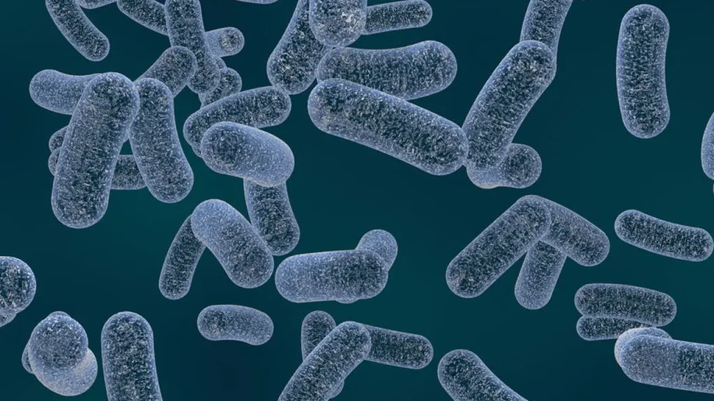 Cientistas estudam bactéria que “come” plástico e pode salvar os oceanos cientistas estudam bact ria que come pl stico e pode salvar os oceanos 79fbcdb8