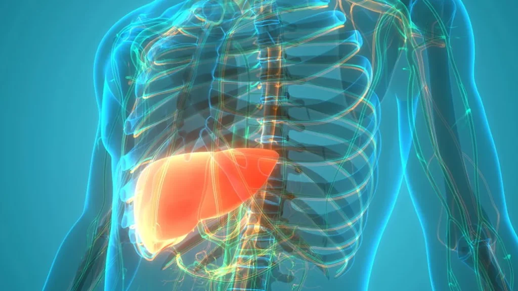 Esse hábito diário pode estar danificando seu fígado sem você perceber esse h bito di rio pode estar danificando seu f gado sem voc perceber b96d9ae6