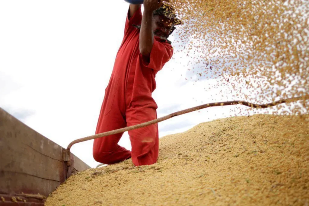 Fazendas da SLC Agrícola valem 62% mais do que a própria companhia na bolsa fazendas da slc agr cola valem 62 mais do que a pr pria companhia na bolsa f763986f