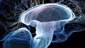 O cérebro prova que neuroplasticidade no envelhecimento é real