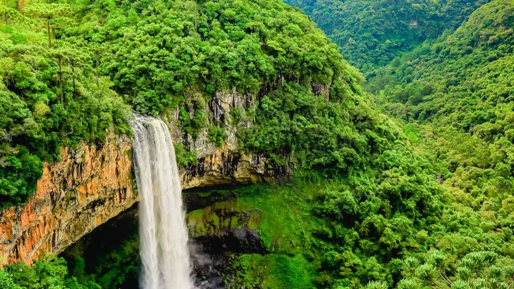 viver o sul do brasil descobrir paisagens e festas que surpreendem a cada visita 1a0633f6