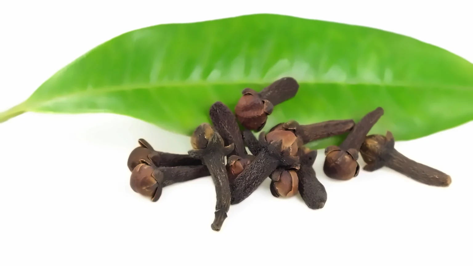 Como plantar cravo-da-índia com sucesso e colher no tempo certo