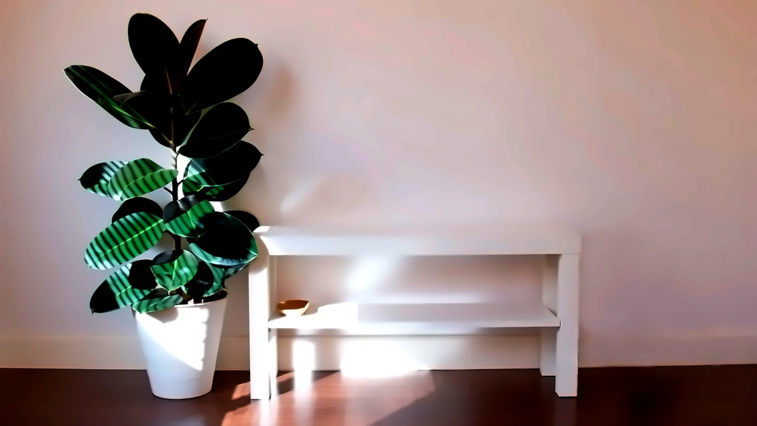 Plantas que trazem aconchego e melhoram sua qualidade de vida