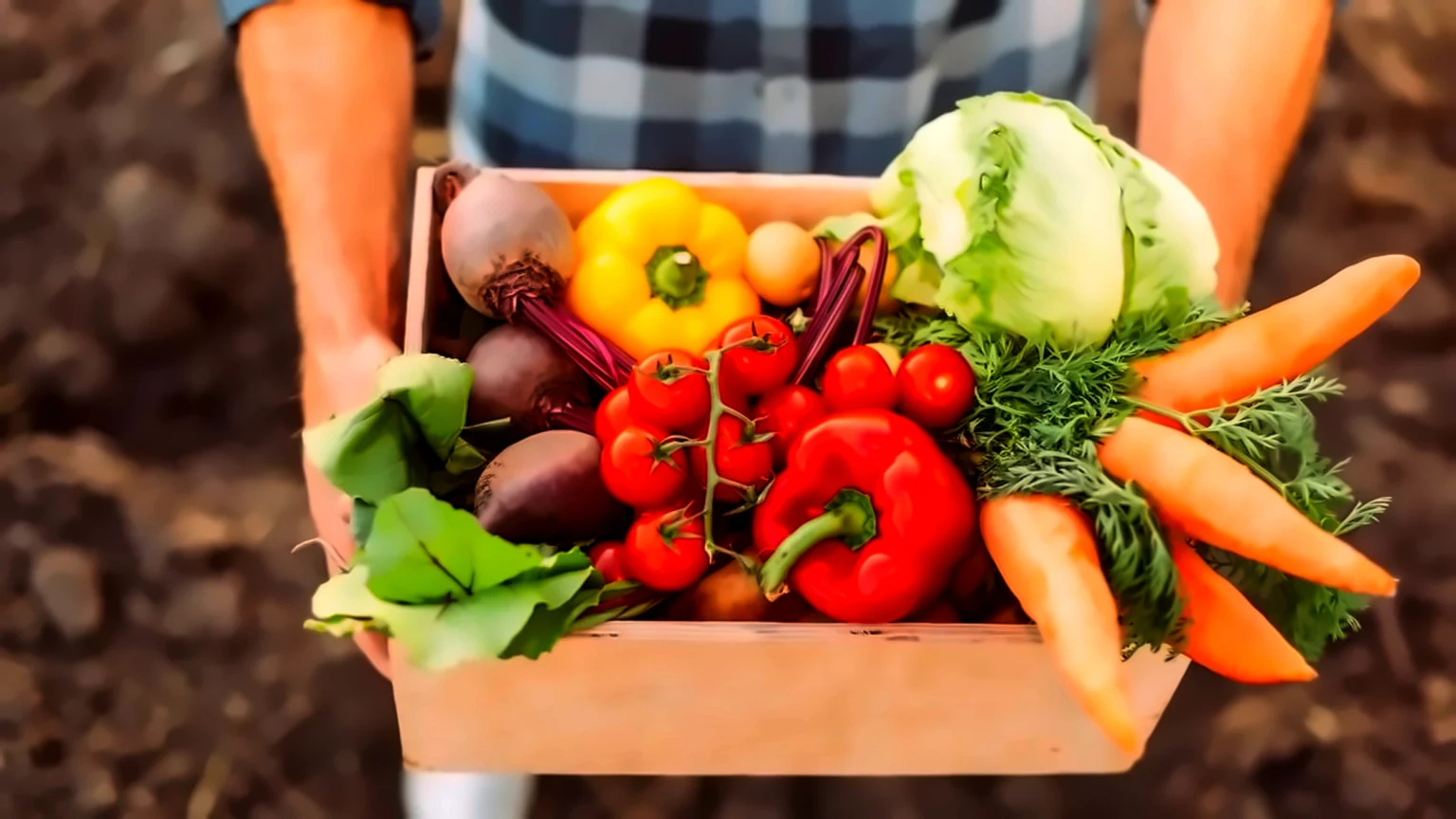 Como montar uma horta produtiva com hortaliças que crescem rápido Como montar uma horta produtiva com hortaliças que crescem rápido
