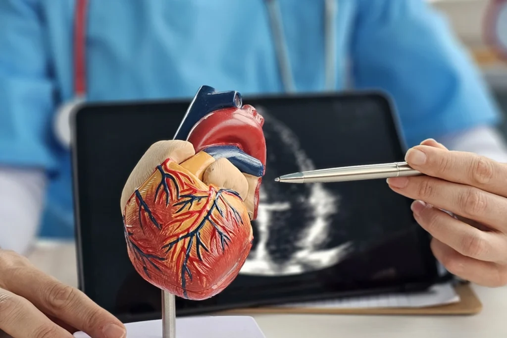 Médico alerta que gordura no fígado pode sobrecarregar o coração Médico alerta que gordura no fígado pode sobrecarregar o coração