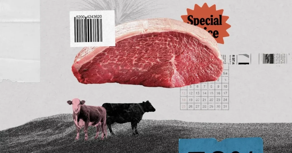 Picanha e filé mignon subirão em 2026: previsão do ciclo do boi Picanha e filé mignon subirão em 2026: previsão do ciclo do boi