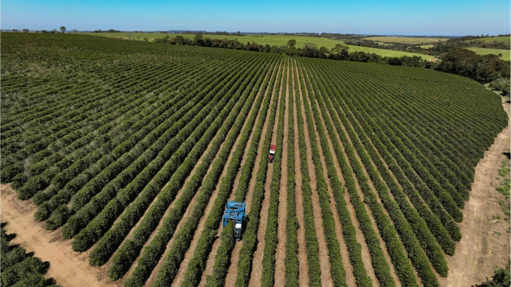 Trump deve criar pacote de US$ 12 bi para agricultores afetados por guerra comercial Trump deve criar pacote de US$ 12 bi para agricultores afetados por guerra comercial