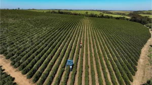 Trump deve criar pacote de US$ 12 bi para agricultores afetados por guerra comercial