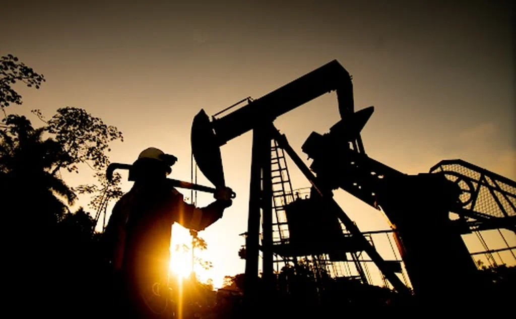 Brava compra ativos por US$ 450 milhões - Por quê a ação caiu