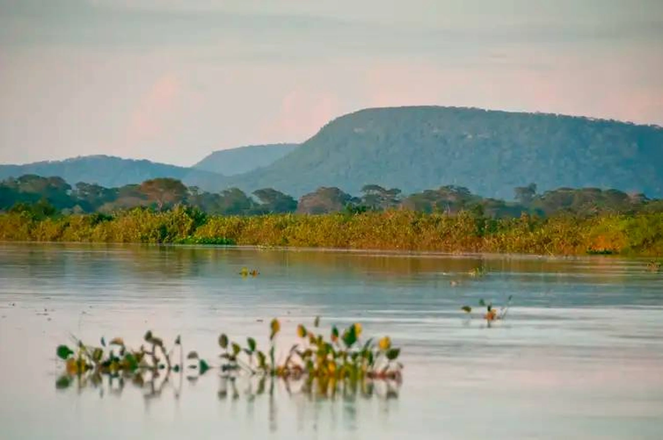 Desmatamento no Brasil cai 20,6% em 2025 e fica abaixo de 1 milhão de hectares pela primeira vez desde 2019
