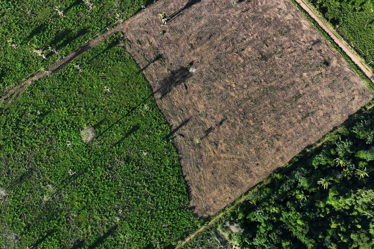 Fachin lança plano para remover invasores em 90 dias da Terra Indígena Cachoeira Seca no Pará 14 Fachin lança plano para remover invasores em 90 dias da Terra Indígena Cachoeira Seca no Pará